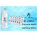 Radnor Hills Spring Sparkling Water 24x500ml NWT863