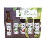 Monin Syrup Cocktail Gift Set 5x5cl