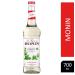 Monin Mojito Mint Coffee Syrup 700ml (Glass) NWT966