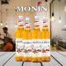 Monin Gingerbread Coffee Syrup 1 Litre NWT972