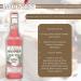 MONIN Bubblegum Cocktail Syrup 700ml (Glass Bottle) NWT982