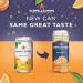 San Pellegrino Sparkling Orange Cans 24x330ml NWT986