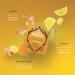 Pukka Organic Lemon Ginger and a Touch of Manuka Honey Tea Bags (Pack of 20) 801543 PK11107