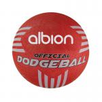 Albion Official Dodgeball 21cm Size 3 PP-15152-210 PT70274