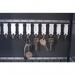 Pavo Magnettag Steel Key Cabinet 50 Key Capacity Dark Grey DF77701 PV01387
