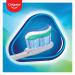 Colgate Toothpaste Triple Action Pump 75ml (Pack of 12) C007361 PX60802