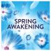Lenor Outdoorable Fabric Conditioner 86 Washes Spring Awakening 1204ml C010260 PX72559