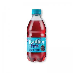 Radnor Hills Radnor Fizz Forest Fruits Soft Drink 330ml Pack of 24