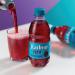 Radnor Fizz Forest Fruits Soft Drink 330ml Pack of 24 P-RS3SPFF24 RAD00329
