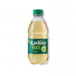 Radnor Fizz Apple Soft Drink 330ml Pack of 24 P-RS3SPAP24 RAD00333