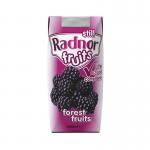 Radnor Fruits Forest Fruits Tetra Pack 200ml (Pack of 24) T-RF20STFF24 RAD00797