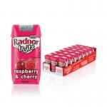 Radnor Fruits Raspberry + Cherry Tetra Pack 200ml (Pack of 24) T-RF20STRC24 RAD00801