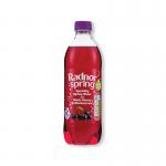 Radnor Sparkling Blk CherryBlackcurrant 500ml Pack of 24 P-RS5SPCB24 RAD01117