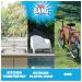 Cillit Bang Grime and Shine Multipurpose Power Cleaner 750ml (Pack of 6) 3283329 RK01767
