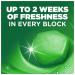Harpic Hygienic Fresh Sticker Adhesive Toilet Block Pine (Pack of 6) 3275287 RK51300