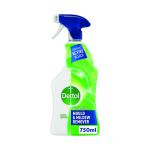 Dettol Mould and Mildew Remover 750ml 71815 RK56173