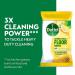 Dettol Floor Wipes Biodegradable Citrus (Pack of 10) 3213958-S RK57226