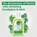 Dettol Concentrated Disinfectant Eucalyptus + Mint 3319738 RK59363