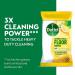 Dettol Biodegradable Citrus Floor Wipes 10 Wipe Pack (Pack of 14) 3213958 RK80514