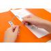 Railex Springarch SA3P Foolscap with Pocket 350gsm Mandarin PK25 12200354