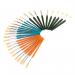 Hog Hair Round Short Paint Brushes Assorted (Pack of 30) FBASS RME47071