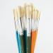 Hog Hair Round Short Paint Brushes Assorted (Pack of 30) FBASS RME47071