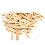 Craft Lolly Sticks Large (Pack of 100) TFS RME47647