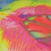Ready Mixed Paint 500ml Fluorescent Assorted (Pack of 6) AR01014 RME47861