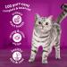 Whiskas 1+ Cat Complete Dry with Chicken 800g (Pack of 5) 481359 RTC30469