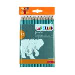 Derwent Lakeland Jumbo Graphite Pencils Blue (Pack of 12) 0700267 RX09257