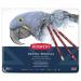 Derwent Pastel Pencils Assorted (Pack of 24) 32992 RX80133