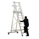 Aluminium 10 Tread Folding Mobile Step Ladder 316026 SBY08155