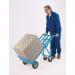 Blue 3 Position Handtruck 250kg Capacity Platform L1115xW470mm 354877 SBY16044