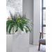 Boston Fern and Savannah Grass Matte Lava Trough LLRBFS550RDYLV SF1000740