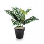 Tabletop Scindapsus Matte White Planter LLRSCD290RDYWH SF1000745