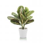Tabletop Maranta Bush Matte White Planter LLRMAB340RDYWH SF1000747
