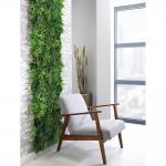 Fern Green Wall RGWFR5050 SF1000753