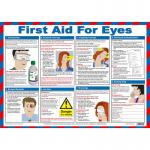 First Aid for Eyes Poster, A2 (Laminated) A602