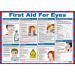 First Aid for Eyes Poster, A2 (Laminated) A602