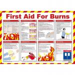First Aid for Burns Poster, A2 (Laminated) A603