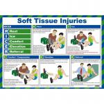 First Aid for Soft Tissue Injuries Poster, A2 (Laminated) A606