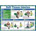 First Aid for Soft Tissue Injuries Poster, A2 (Laminated) A606