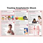Treating Anaphylaxis In Schools Poster, A2 (Laminated) A660