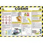 COSHH (Control of Substances Hazardous to Health) Poster, A2 (Laminated) A704
