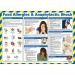 Food Allergies and Anaphylactic Shock Poster, A2 (Laminated) A729