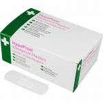 HP Clear Washproof Plast. 100 D8006