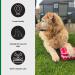 Pet First Aid Kit KR200