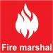 Fire Marshal Helmet Sticker S3012PK10