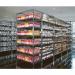 Slingsby chrome wire shelving system add-on bay - 5 shelf levels, height 1895mm 309642