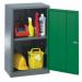 Locker Tool Single Door 684 X 450 X 300 Mm-grey & Green 312185